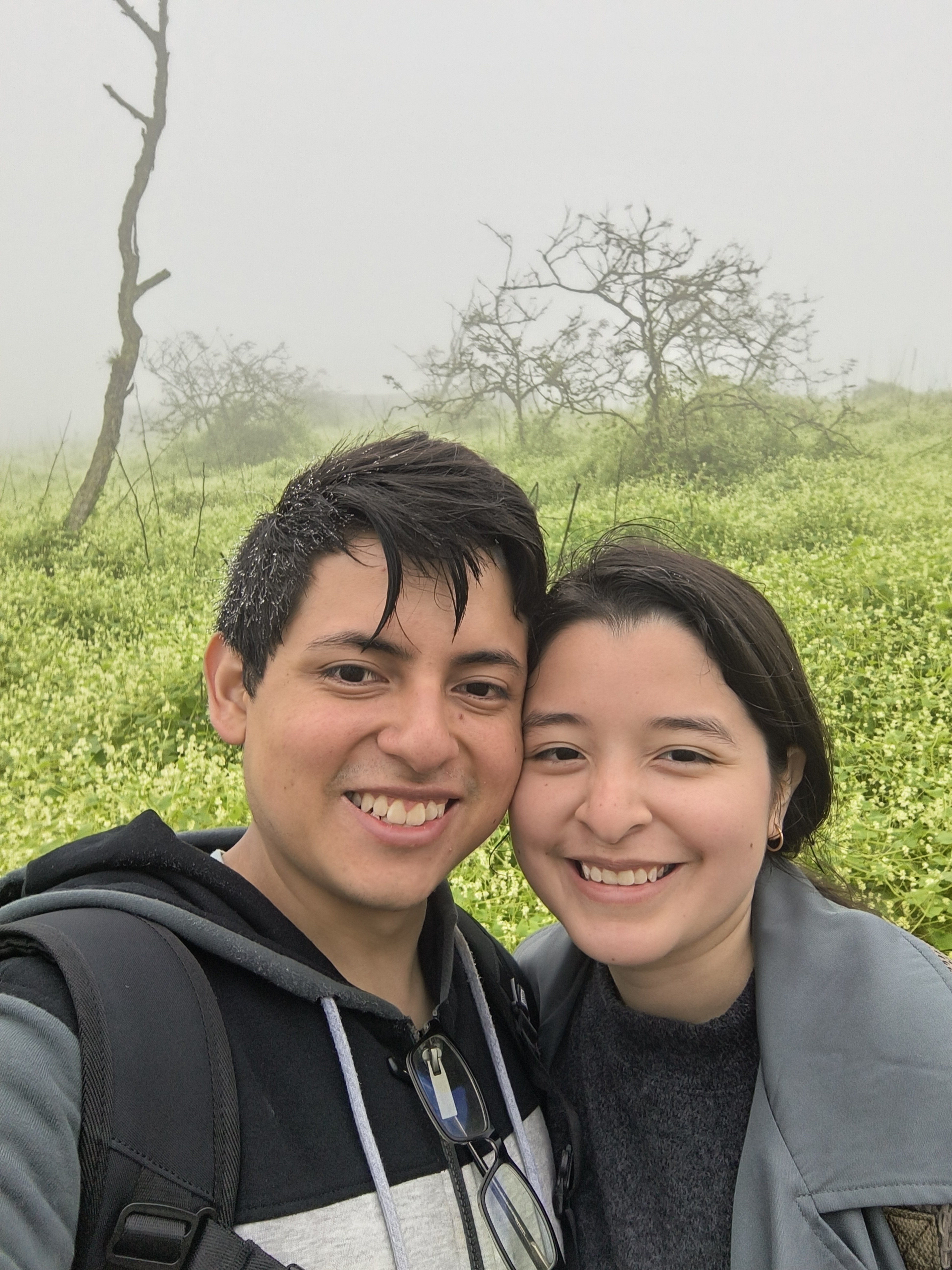 Las Lomas de Lachay